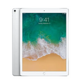 iPad 5th Gen (2017) Wi-Fi + Cellular - Silver